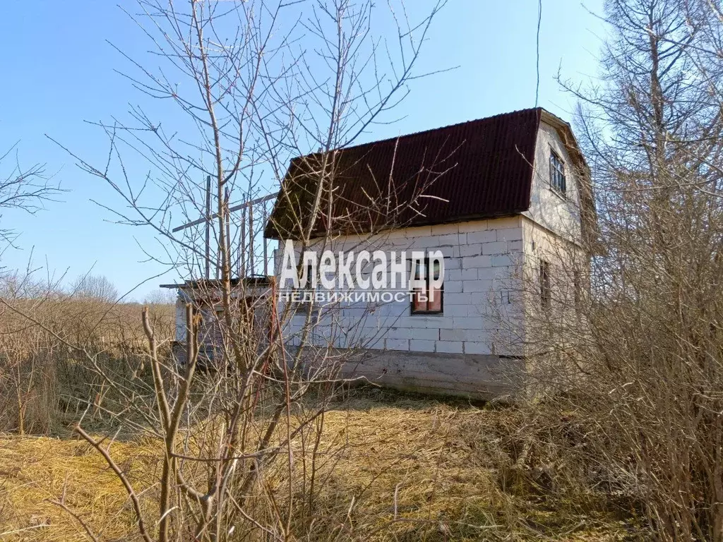 Дом в Ленинградская область, Сланцевский район, Старопольское с/пос, ... - Фото 1