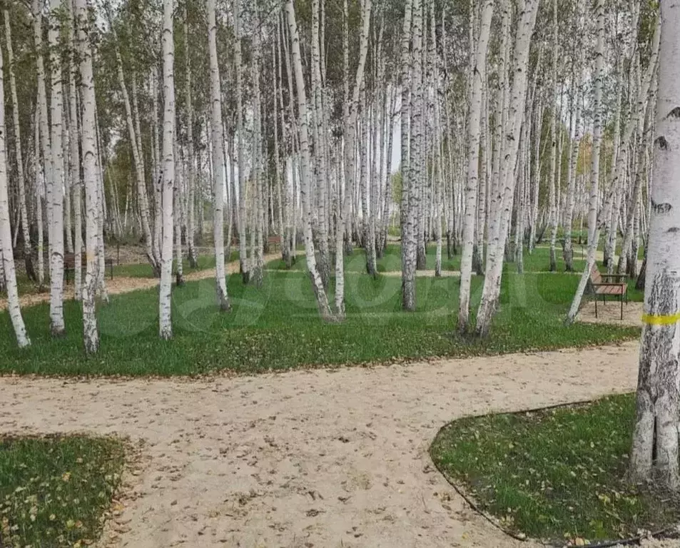 Участок 8 сот. (СНТ, ДНП) - Фото 0