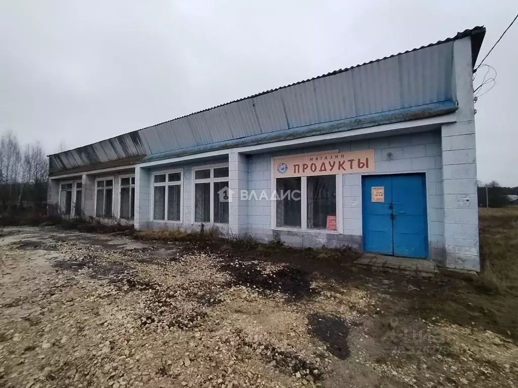 Помещение свободного назначения в Владимирская область, Вязниковский ... - Фото 1