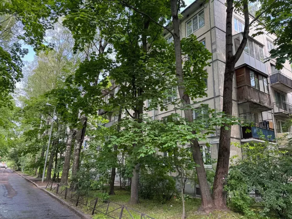 1-к кв. Санкт-Петербург ул. Верности, 20 (31.1 м) - Фото 0
