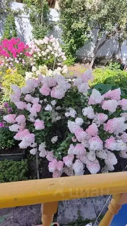 Дом в Тюменская область, Тюменский муниципальный округ, Лесное СНТ ул. ... - Фото 2