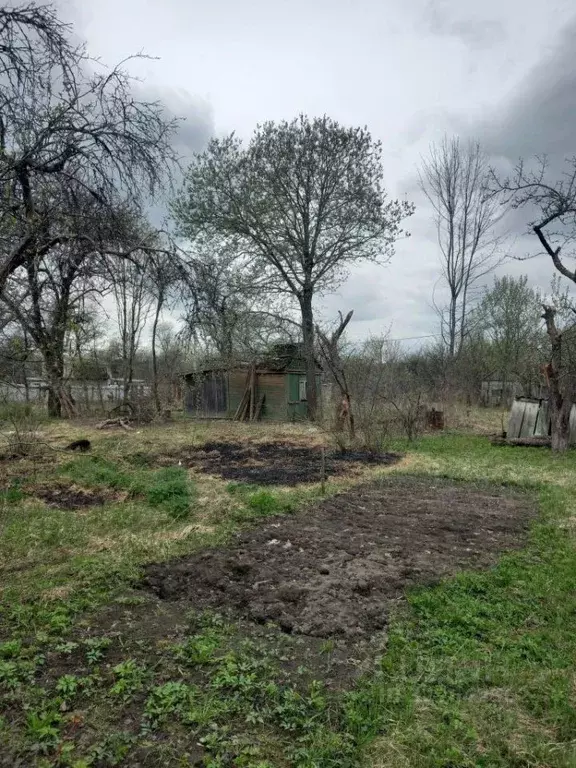 Участок в Брянская область, Брянск Бежицкая ул. (9.0 сот.) - Фото 2