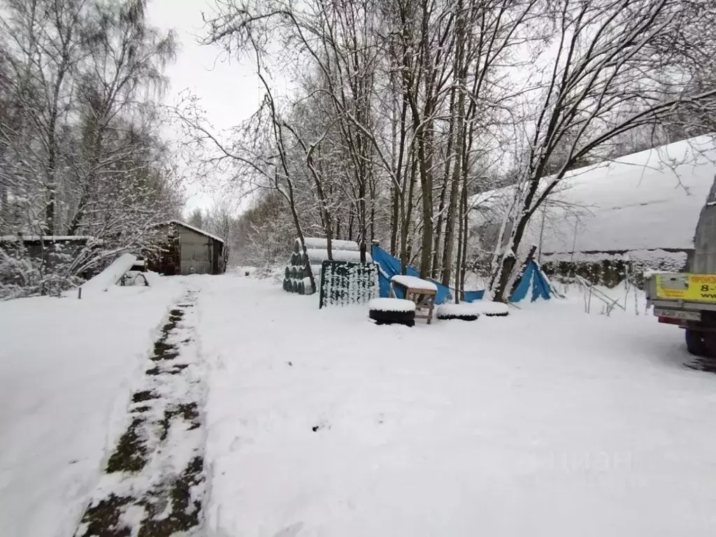 Склад в Московская область, Щелково городской округ, Ветеран СПК ул. ... - Фото 1