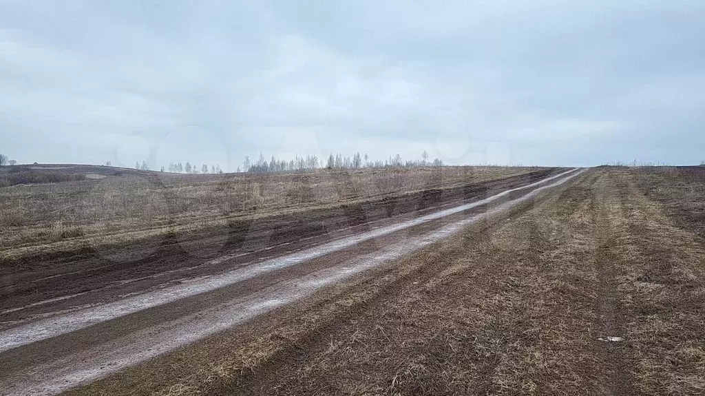 Участок 16 сот. (ИЖС) - Фото 0