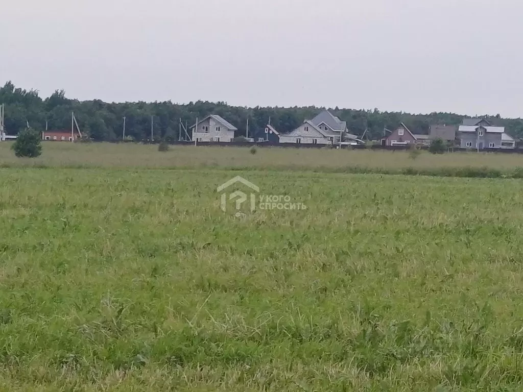 Участок в Ленинградская область, Ломоносовский район, Гостилицкое ... - Фото 2