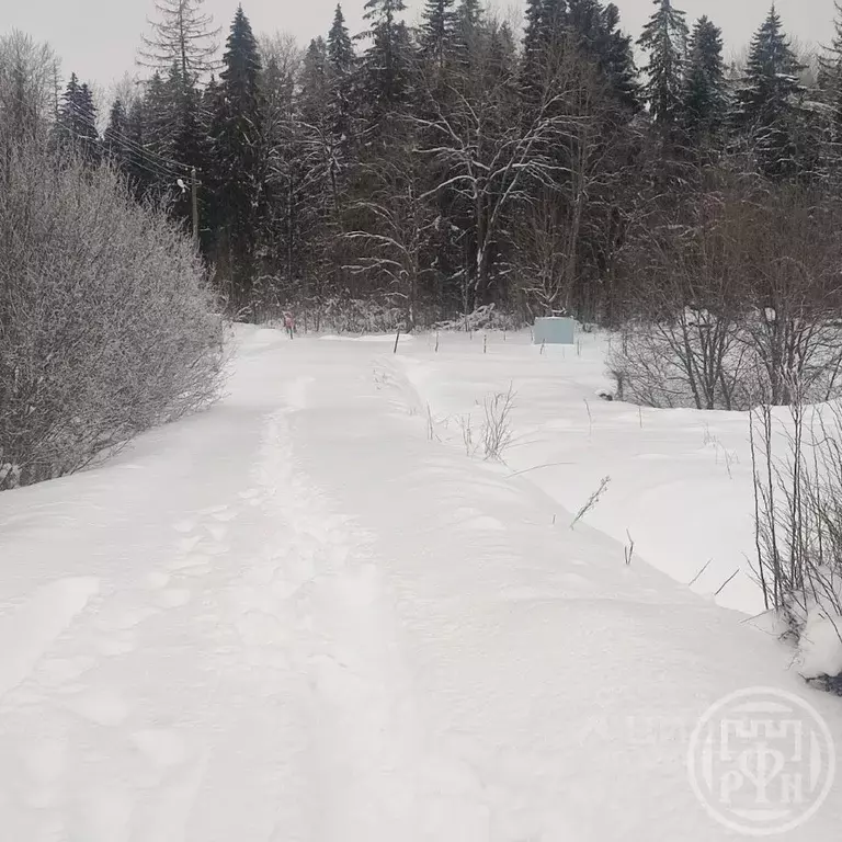 Участок в Ленинградская область, Ломоносовский район, Лопухинское ... - Фото 2