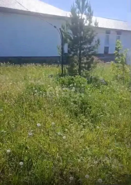 Участок в Башкортостан, Иглинский район, Акбердинский сельсовет, с. ... - Фото 1