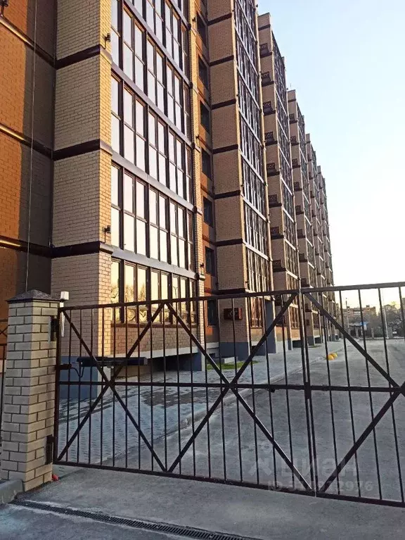 Студия Амурская область, Благовещенск Литейная ул., 95 (37.8 м) - Фото 0
