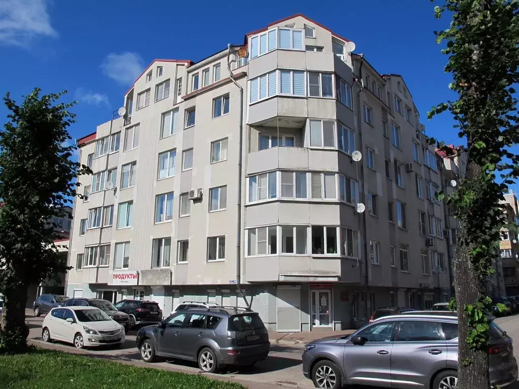 Торговая площадь в Ленинградская область, Выборг ул. Мира, 18 (118 м) - Фото 1