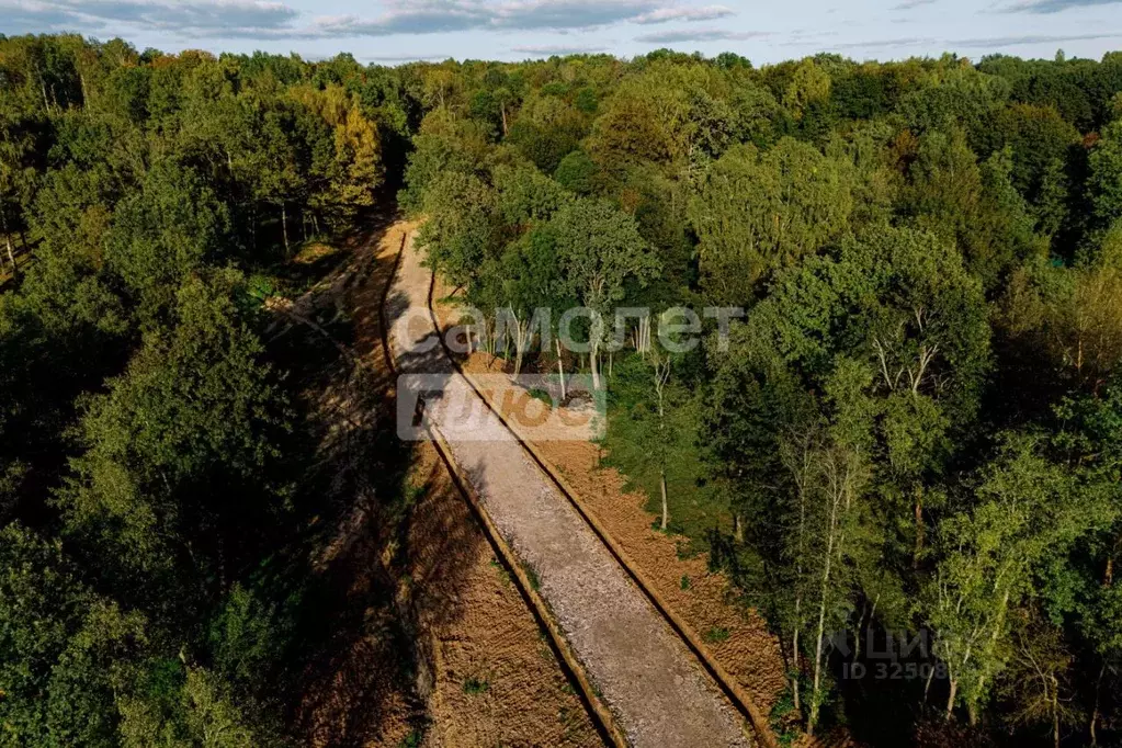 Участок в Московская область, Дмитровский муниципальный округ, д. ... - Фото 2