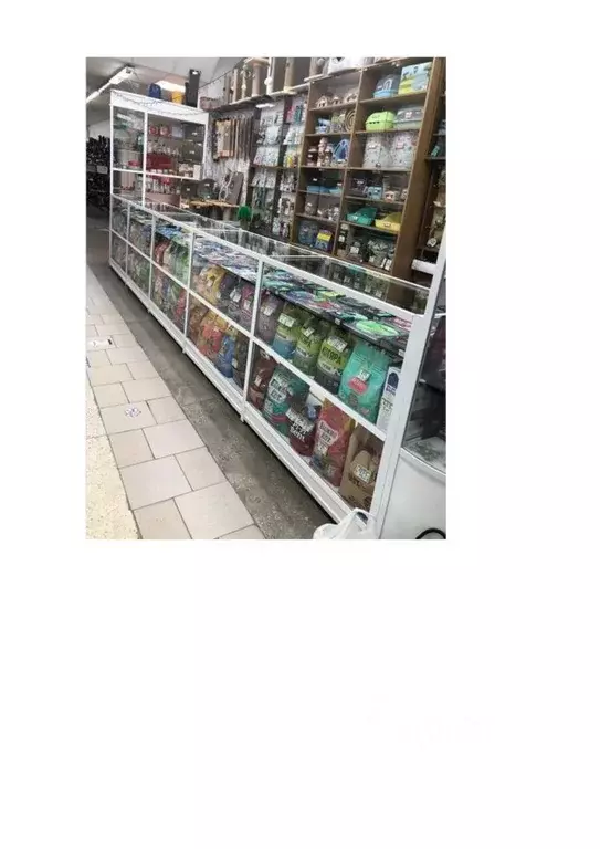 Помещение свободного назначения в Новосибирская область, Новосибирский ... - Фото 1