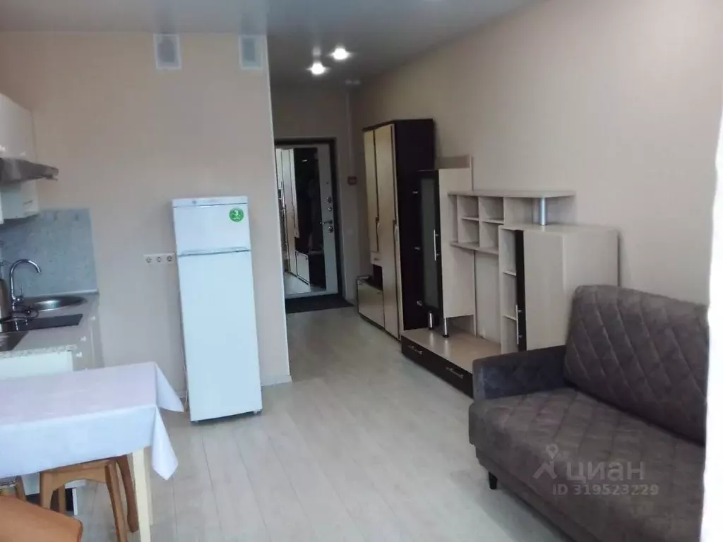 Студия Московская область, Ногинск Богородский городской округ, ул. ... - Фото 0