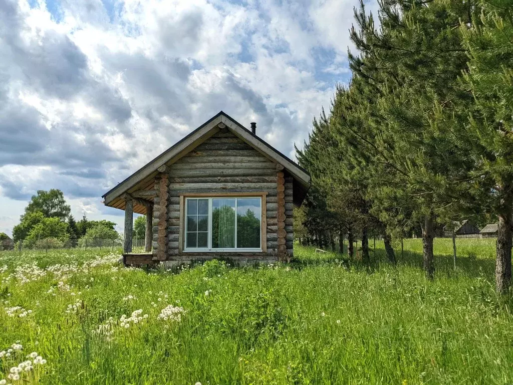 Дом в Московская область, Шаховская муниципальный округ, д. Косово ул. ... - Фото 1