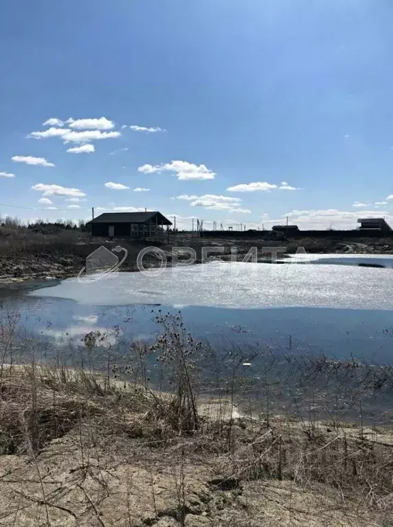 Участок в Тюменская область, Нижнетавдинский район, Царицыно СНТ ул. ... - Фото 0