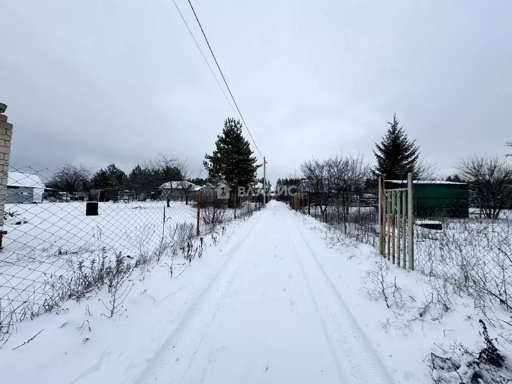 Участок в Воронежская область, Рамонский район, с. Новоживотинное ул. ... - Фото 1
