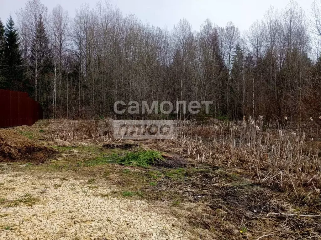 Участок в Ленинградская область, Тосненский район, Шапкинское с/пос, ... - Фото 2