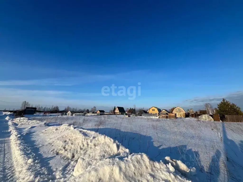 Участок в Новосибирская область, Колыванский район, Север ТСН 248 (8.0 ... - Фото 0