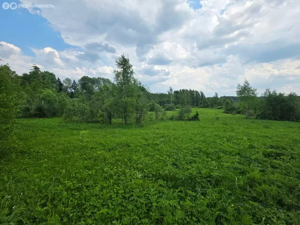 Участок в Московская область, городской округ Клин, деревня Тиликтино ... - Фото 1