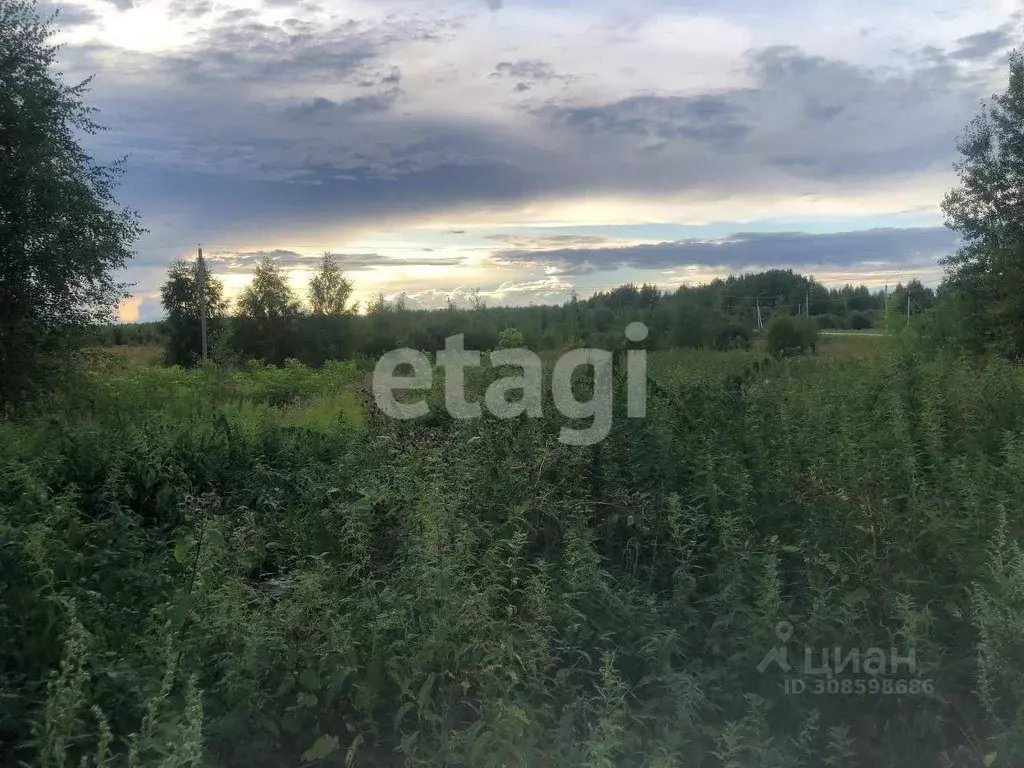 Участок в Костромская область, Костромской район, Бакшеевское с/пос, ... - Фото 1