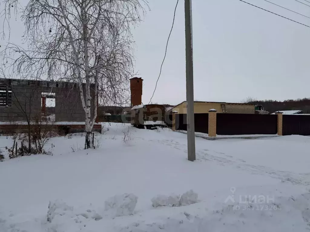 Дом в Амурская область, Серышевский муниципальный округ, с. Бочкаревка ... - Фото 2