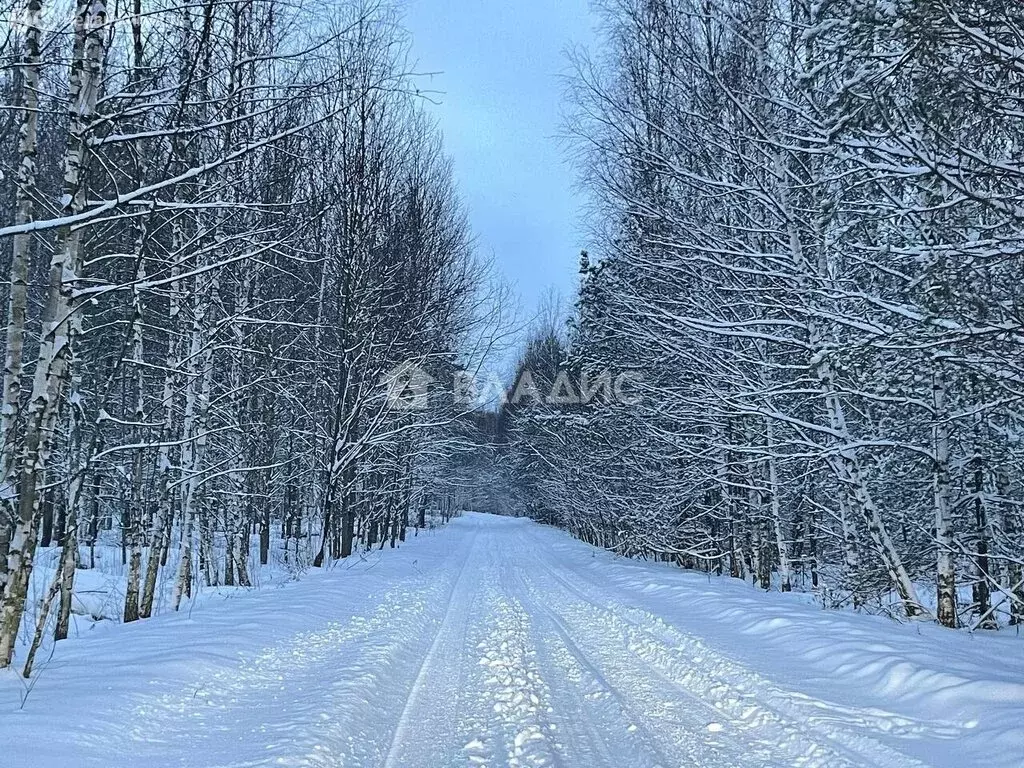 Участок в Ненашкинское сельское поселение, деревня Ушмор (13.56 м) - Фото 0