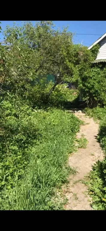 Дом в Московская область, Люберцы городской округ, с. Верхнее Мячково, ... - Фото 2