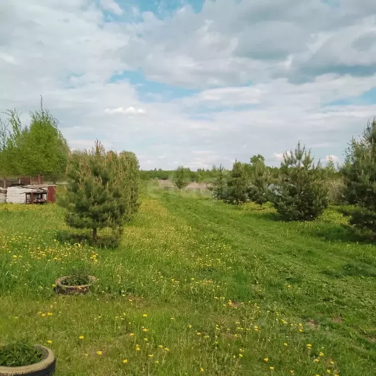 Дом в Ярославская область, Тутаевский муниципальный округ, ... - Фото 1