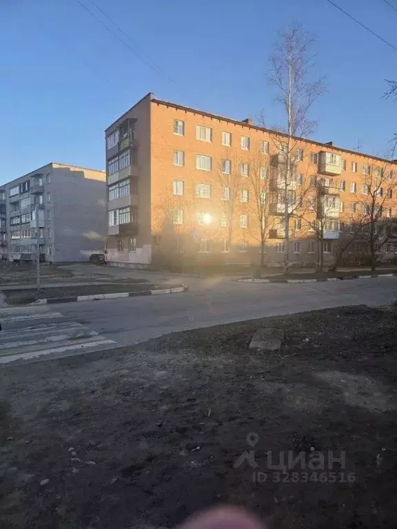 1-к кв. Ленинградская область, Отрадное Кировский район, Новая ул., 11 ... - Фото 2