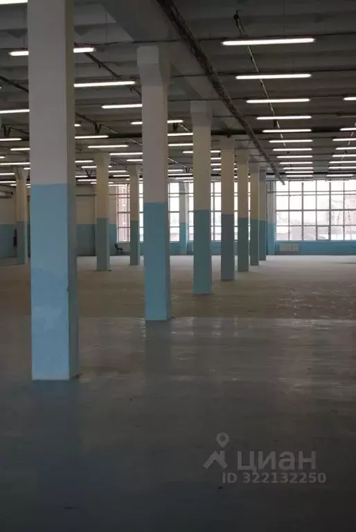 Склад в Московская область, Щелково Фабричная ул., 1А (1291 м) - Фото 1