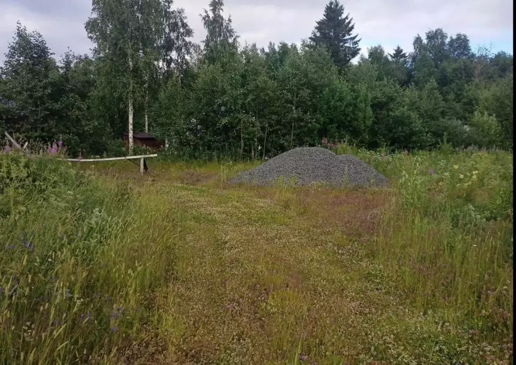 Участок в Карелия, Прионежский район, с. Деревянное ул. Весенняя (10.0 ... - Фото 0