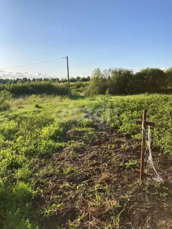 Участок в Мордовия, Саранск городской округ, с. Макаровка ул. Лесная ... - Фото 2