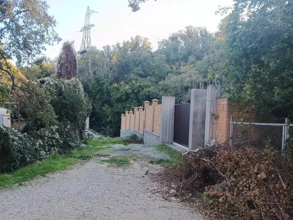 Участок в Крым, Ялта муниципальный округ, пос. Даниловка ул. Тенистая ... - Фото 1