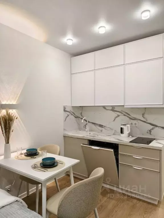 Студия Москва ул. Трехполье, 6к1 (20.0 м) - Фото 2