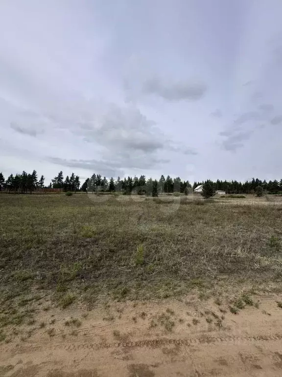 Участок в Бурятия, Улан-Удэ ул. Камышовая, 13 (8.0 сот.) - Фото 2