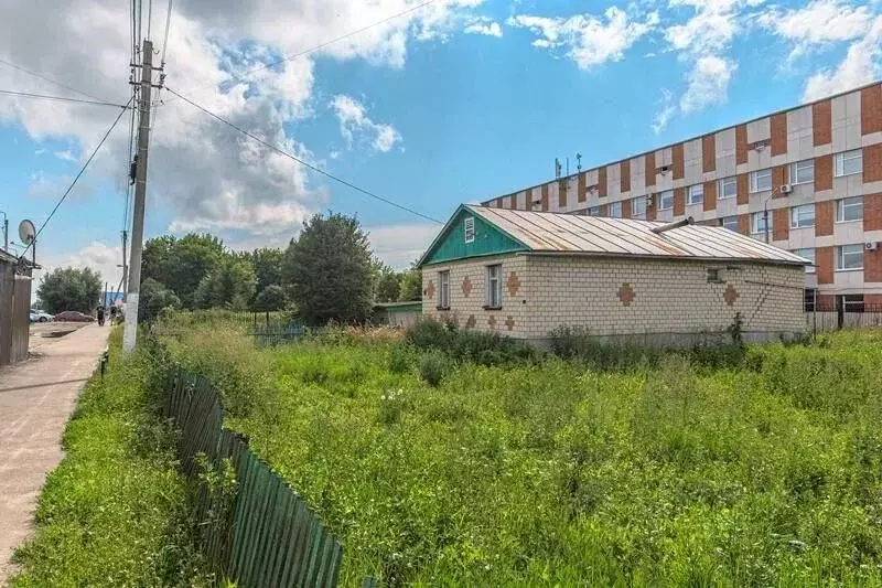 Участок в Пензенская область, с. Бессоновка ул. Центральная, 208 (14.0 ... - Фото 1