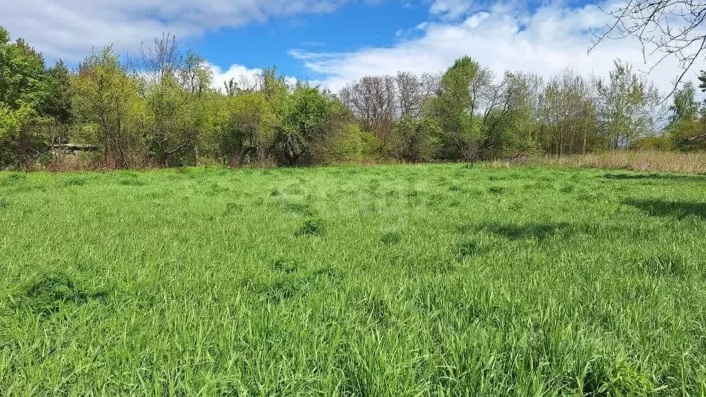 Участок в Калининградская область, Балтийск ул. Мечникова (10.0 сот.) - Фото 0