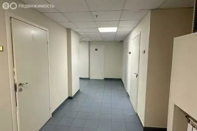 Офис (23.5 м) - Фото 1
