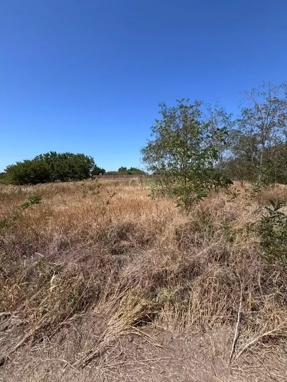 Участок в Краснодарский край, Ейский район, с. Кухаривка Северная ул. ... - Фото 2