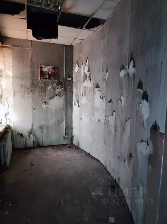 Офис в Санкт-Петербург Садовая ул., 28-30к41 (11 м) - Фото 1