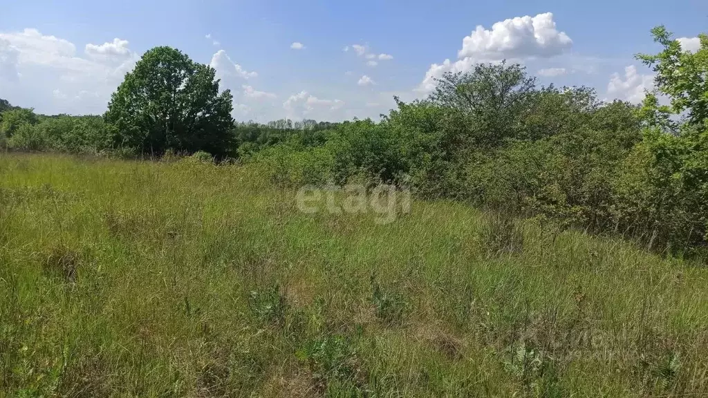 Участок в Белгородская область, Белгородский район, Беломестненское ... - Фото 1
