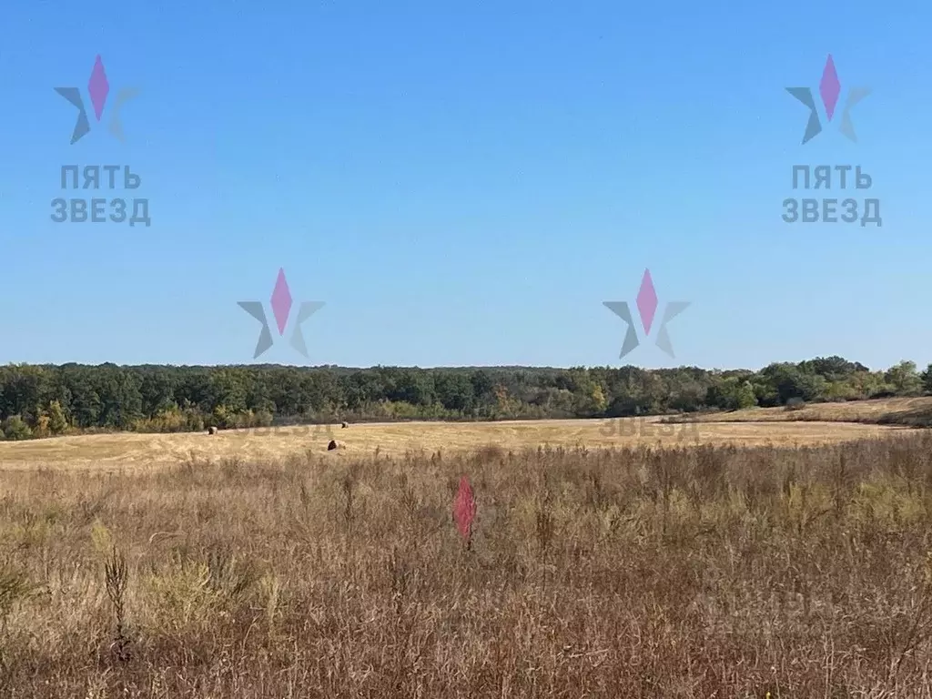 Участок в Самарская область, Кинельский район, Георгиевка с/пос, пос. ... - Фото 2