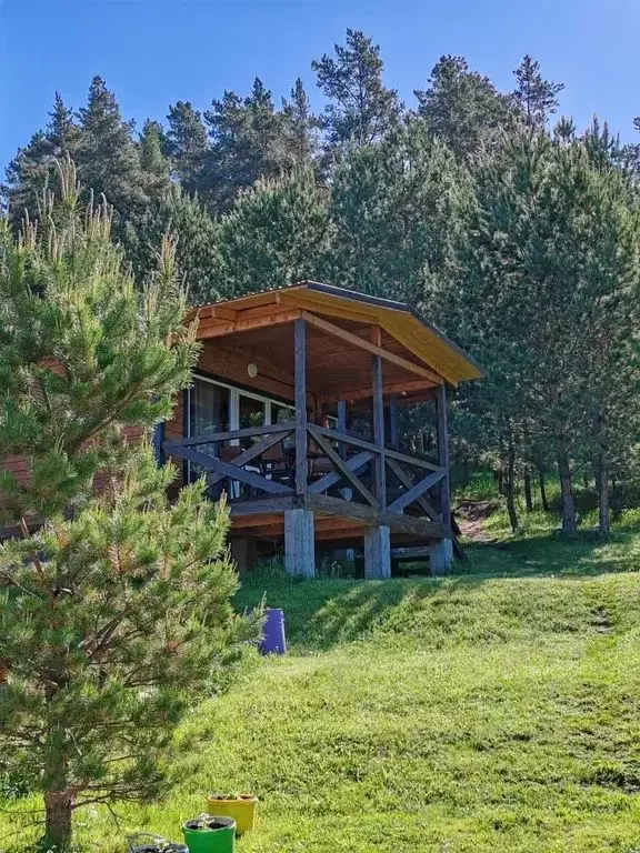 Дом в Алтай, Чемальский район, Узнезинское с/пос, с. Узнезя ул. ... - Фото 0
