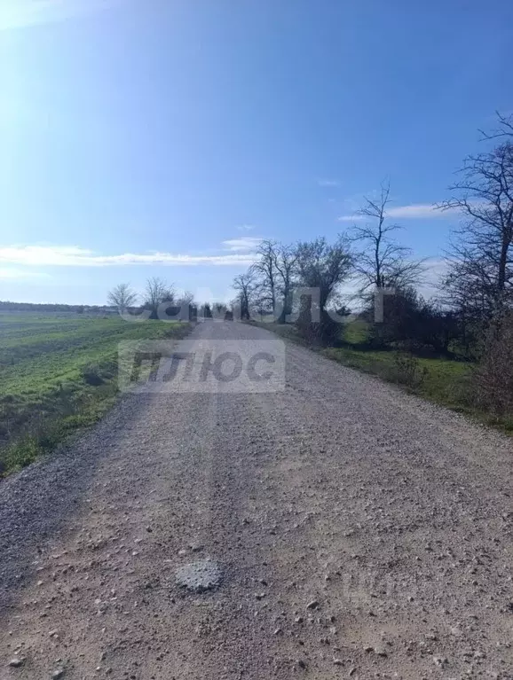 Участок в Крым, Сакский район, с. Охотниково  (300.0 сот.) - Фото 2