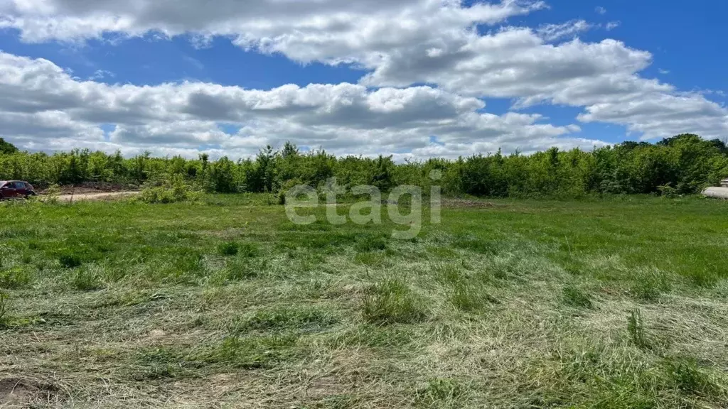 Участок в Краснодарский край, Красноармейский район, Полтавская ст-ца  ... - Фото 0