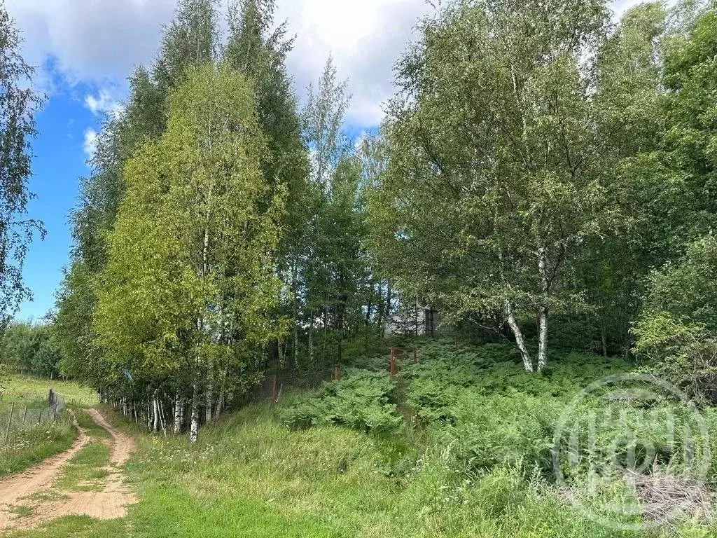 Участок в Ленинградская область, Всеволожский район, Колтушское ... - Фото 2