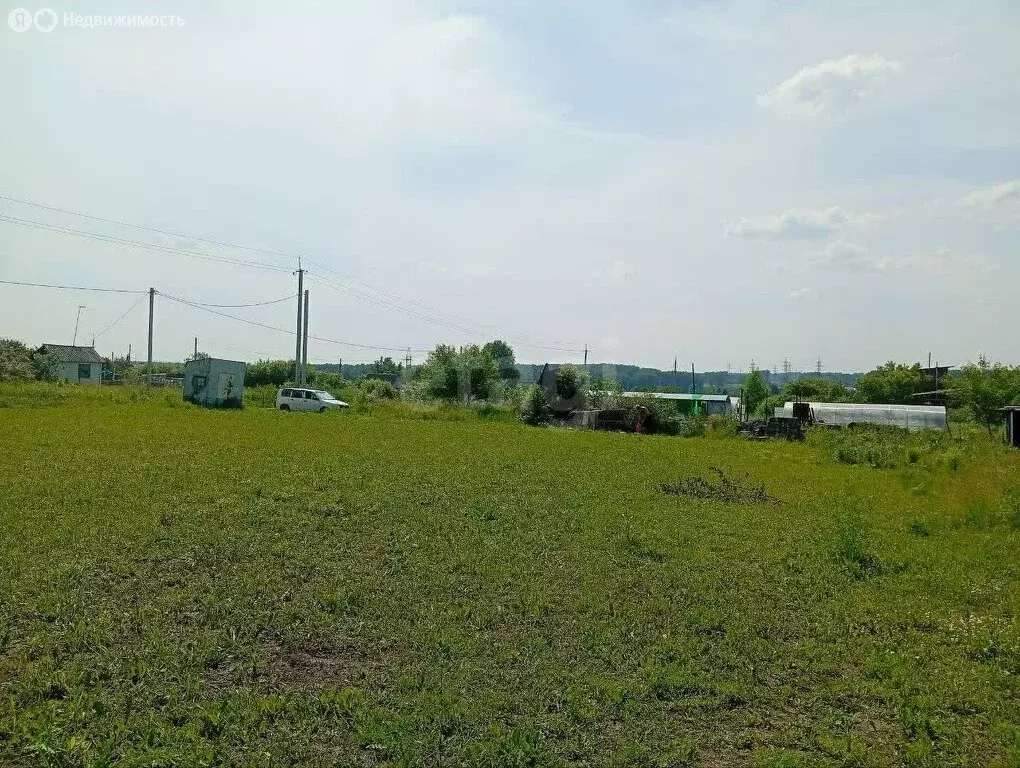 Участок в Искитимский район, Чернореченский сельсовет, ТСН Ложок-1, ... - Фото 1