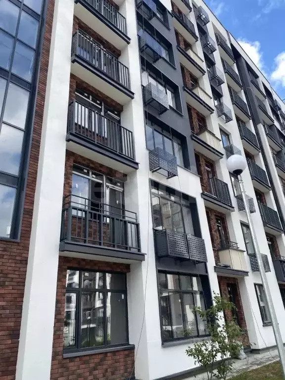 Студия Московская область, Подольск городской округ, д. Борисовка ул. ... - Фото 2