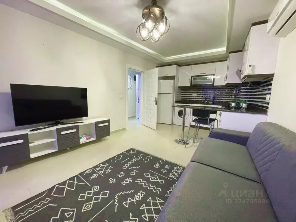 Студия Краснодарский край, Сочи Центральный мкр, ул. Роз, 39 (35.0 м) - Фото 1