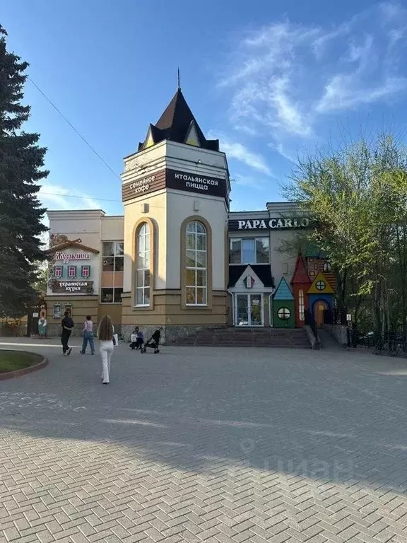 Помещение свободного назначения в Челябинская область, Челябинск ул. ... - Фото 1