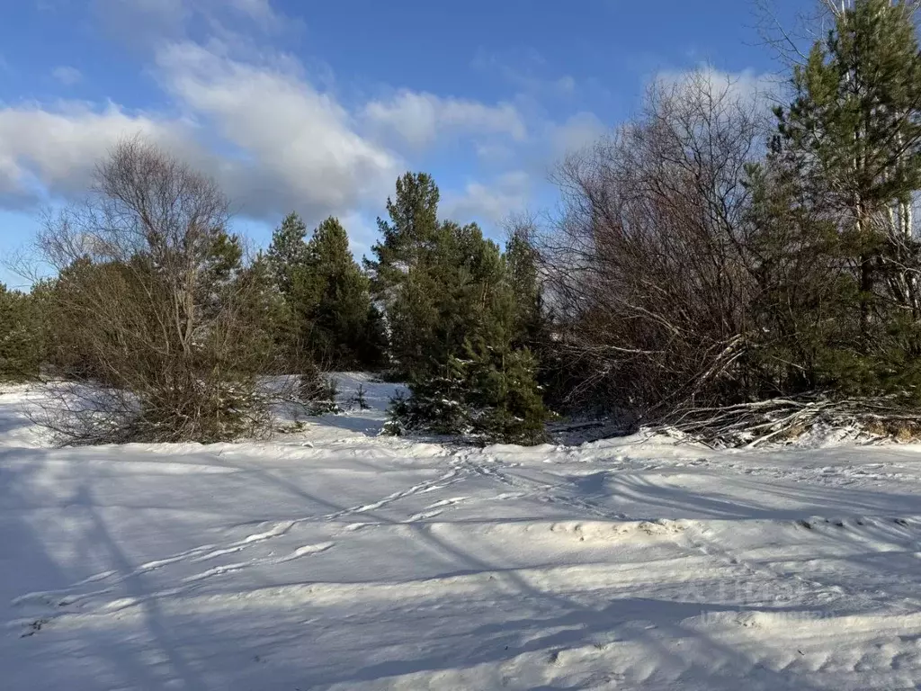 Участок в Липецкая область, Добровский муниципальный округ, с. ... - Фото 2